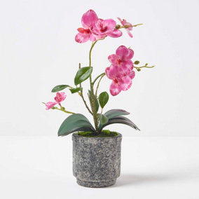 Homescapes Pink Orchid 40 cm Phalaenopsis in Cement Pot