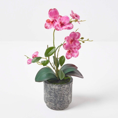 Homescapes Pink Orchid 40 cm Phalaenopsis in Cement Pot