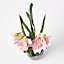 Homescapes Pink Orchid 58 cm Cymbidium in Cement Pot Extra Large, 2 Stems
