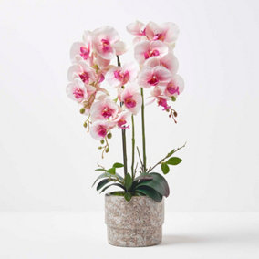 Homescapes Pink Orchid 64 cm Phalaenopsis in Cement Pot Extra Large, 3 Stems
