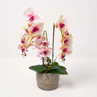 Homescapes Pink Orchid 64 cm Phalaenopsis in Cement Pot Extra Large, 3 Stems