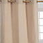Homescapes Plain Off Beige Cotton Eyelet Curtains 117 x 137 cm