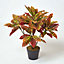 Homescapes Red 'Rushfoil' Artificial Croton Plant with Pot, 65 cm