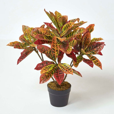 Homescapes Red 'rushfoil' Artificial Croton Plant With Pot, 65 Cm 