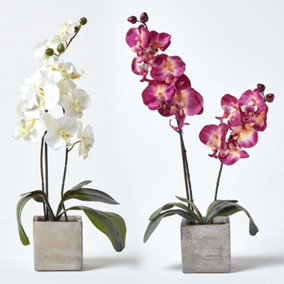 Homescapes Set of 2 Artificial Burgundy & Cream Orchids in Stone Pots, 57 cm