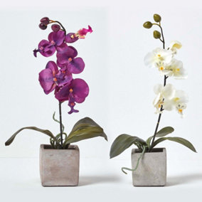 Homescapes Set of 2 Cerise Pink & White Artificial Orchids in Pots, 40 cm