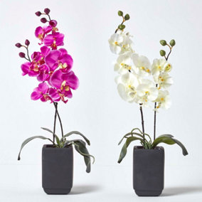 Homescapes Set of 2 Cream & Pink Artificial Orchids in Black Ceramic Pots, 55 cm