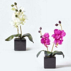 Homescapes Set of 2 Pink & Cream Artificial Orchids in Black Pots, 35 cm