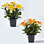 Homescapes Set of 2 Yellow & Orange Narcissus & Daisy Artificial Flowers in Grave Vases