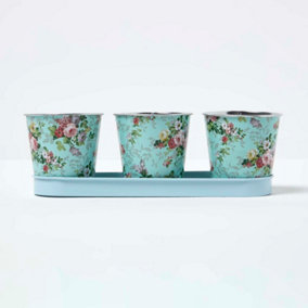Homescapes Set of 3 Herb Pots with Tray, Rose Print