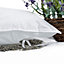 Homescapes Set of Two Dried Lavender Filled Pouches for Homescapes Lavender Pillow