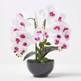 Homescapes White and Pink Orchid 56 cm Phalaenopsis in Ceramic Pot