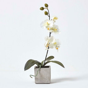 Homescapes White Artificial Orchid Flowers in Pot for Indoor & Outdoor Decoration