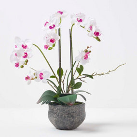 Homescapes White Orchid 52 cm Phalaenopsis in Cement Pot Extra Large, 5 Stems
