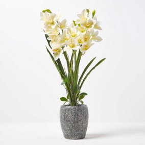 Homescapes White Orchid 82 cm Cymbidium in Cement Pot Extra Large, 3 Stems