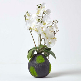 Homescapes White Phalaenopsis Artificial Orchid with Natural Base, 60 cm Tall