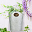 Honey Bee Wall Mounted Indoor Plant Pots Outdoor Garden Planter with Brass Plaque