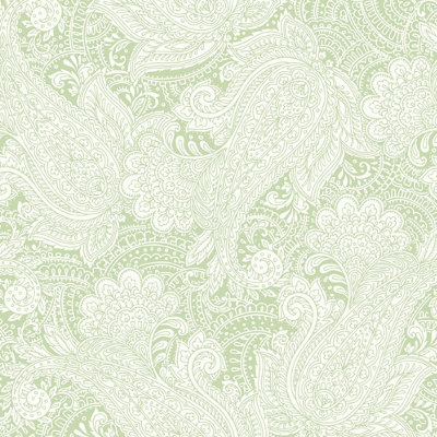 Hoopla Walls Mint Green Paisley Smooth Matt Wallpaper