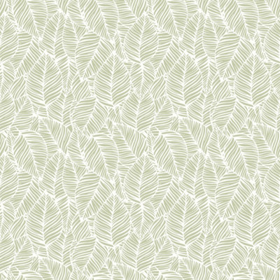 Hoopla Walls Zebra Leaf - Olive 10m Wallpaper