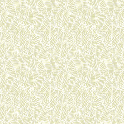 Hoopla Walls Zebra Leaf - Soft Lime 10m Wallpaper