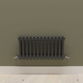 Horizontal Black Double Column Radiator (H) 300mm x (W) 605mm.