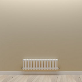 Horizontal White Double Column Radiator (H) 300mm x (W) 1010mm.