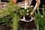 Hortiwool Starter Garden Pad ( 1 pad per pack) - 250 x 600mm