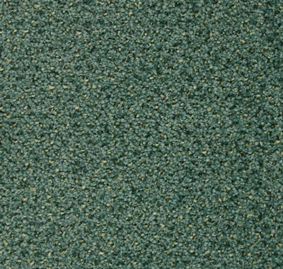 Hospi Style Plus Commercial Carpet by Remland (Juniper, 1m x 4m)