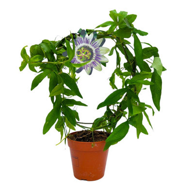 14 inch planter pot Ceramic Cylinder Planter Black / 10 Inch / Without Stand main image 0