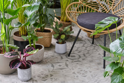A room with mosaic patterned flooring tiles and a variety of houseplants in assorted plant pots.