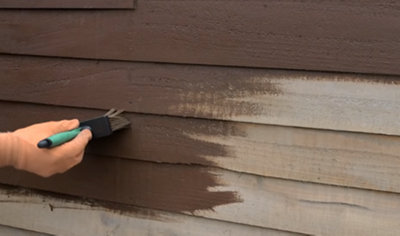 A person wearing gloves, using a timber brush to apply paint to the exterior of a timber shed.