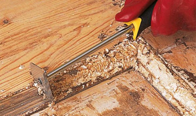 Person using a shave hook to scrape paint from inside the mouldings on a wooden front door.
