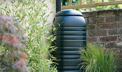 A water butt installed in the corner of a garden to collect rainfall.