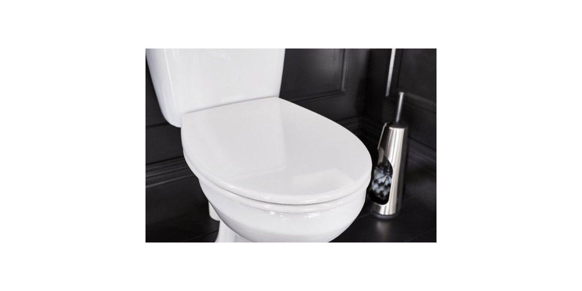 How to replace a toilet seat, Ideas & Advice