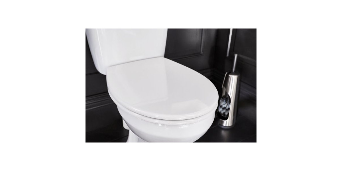 how-to-replace-a-toilet-seat-ideas-advice-diy-at-b-q