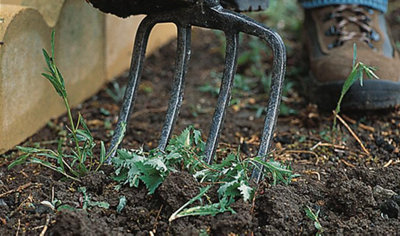 Using a garden fork to mix fresh top soil in with existing soil.