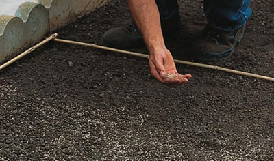 Person using their hand to spread grass seed evenly across a patch of soil.