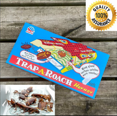 Hoy Hoy Trap A Insect Cockroach Monitoring Trap Box of 5