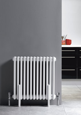 Hudson Reed Colosseum Floor Mounted Traditional Radiator with Wall ...