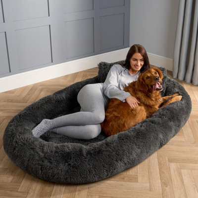 Warmest dog bed sales