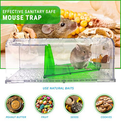 Best mouse traps online