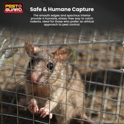 Humane Rat Trap Cage Live Rat Mouse TrapsReusable Rat Cage For Indoor