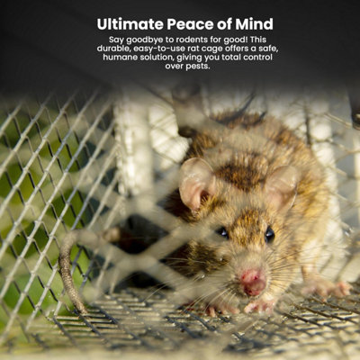 Humane Rat Trap Cage Live Rat Mouse TrapsReusable Rat Cage For Indoor