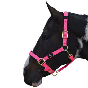 Hy Deluxe Padded Head Collar Hot Pink (XL)