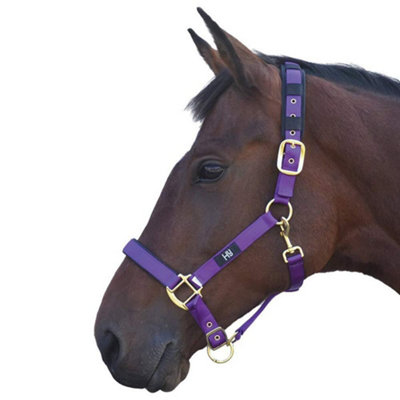 Hy Deluxe Padded Head Collar Purple (Pony)