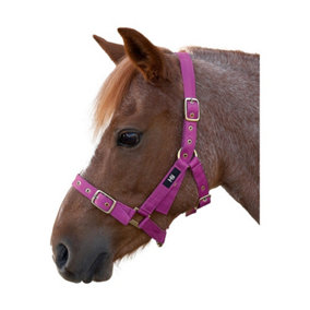 Hy Holly Fully Adjustable Head Collar Pink (Cob)