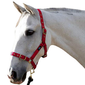 Hy Holly Fully Adjustable Head Collar Red (Full)