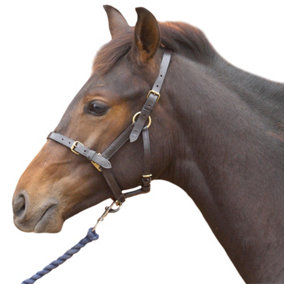 Hy Leather Foal Head Collar Black (Large)