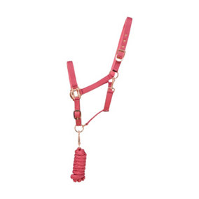 Hy Rose Gold Headcollar and Lead Rope Blush Pink/Rose Gold (Full)