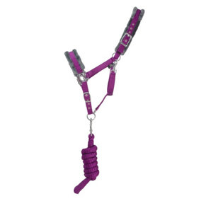Hy Sport Active Horse Headcollar and Leadrope Amethyst Purple (Pony)